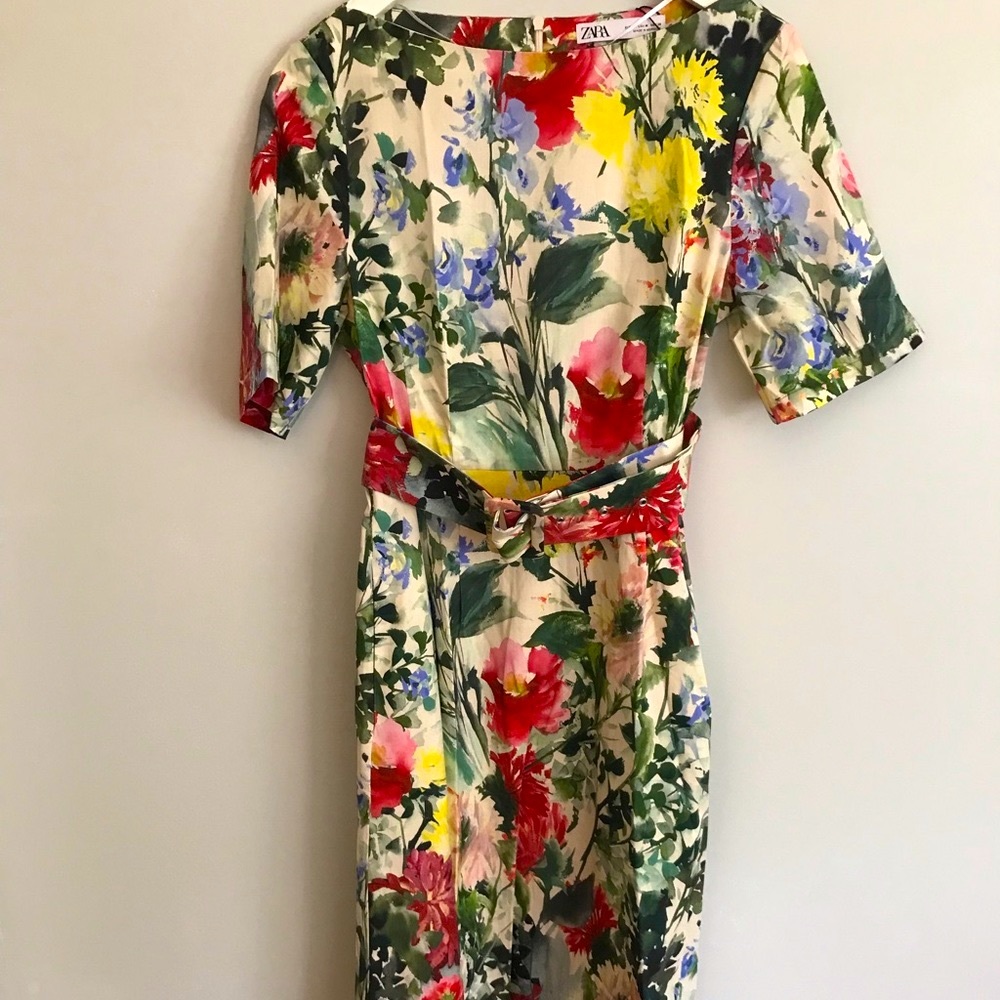 Zara collection dress (Oscar lookalike)